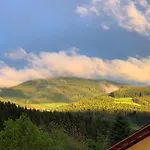 Apartmán Black Forest Brandenkopfblick