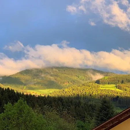 Black Forest Brandenkopfblick Zell am Harmersbach