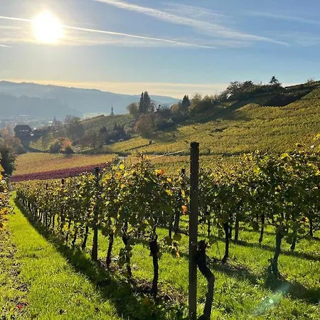 Black Forest Brandenkopfblick * Zell am Harmersbach