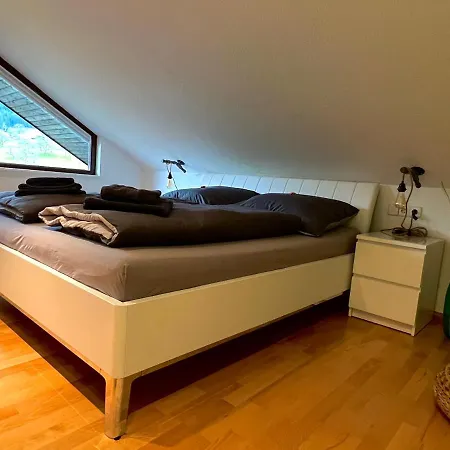 Black Forest Brandenkopfblick * Zell am Harmersbach