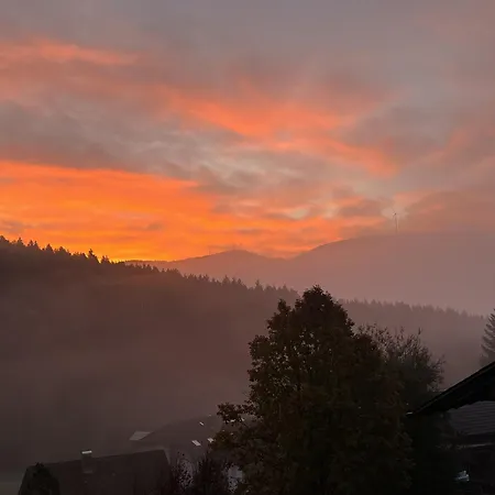 Black Forest Brandenkopfblick * Zell am Harmersbach