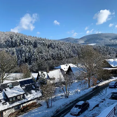 Black Forest Brandenkopfblick * Zell am Harmersbach