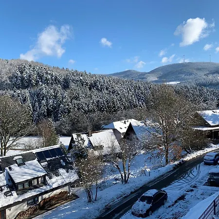 Black Forest Brandenkopfblick Daire *